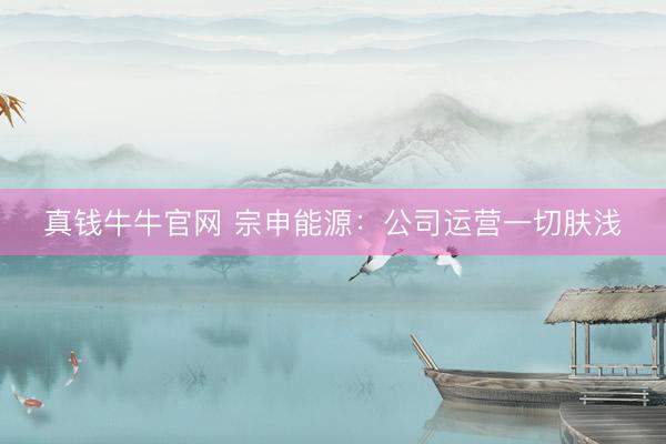 真钱牛牛官网 宗申能源：公司运营一切肤浅
