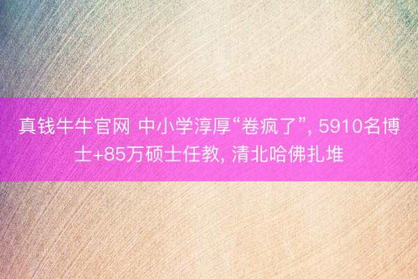 真钱牛牛官网 中小学淳厚“卷疯了”, 5910名博士+85万硕士任教, 清北哈佛扎堆